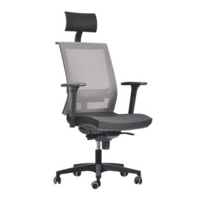 geos_evo_01 geos_evo_01